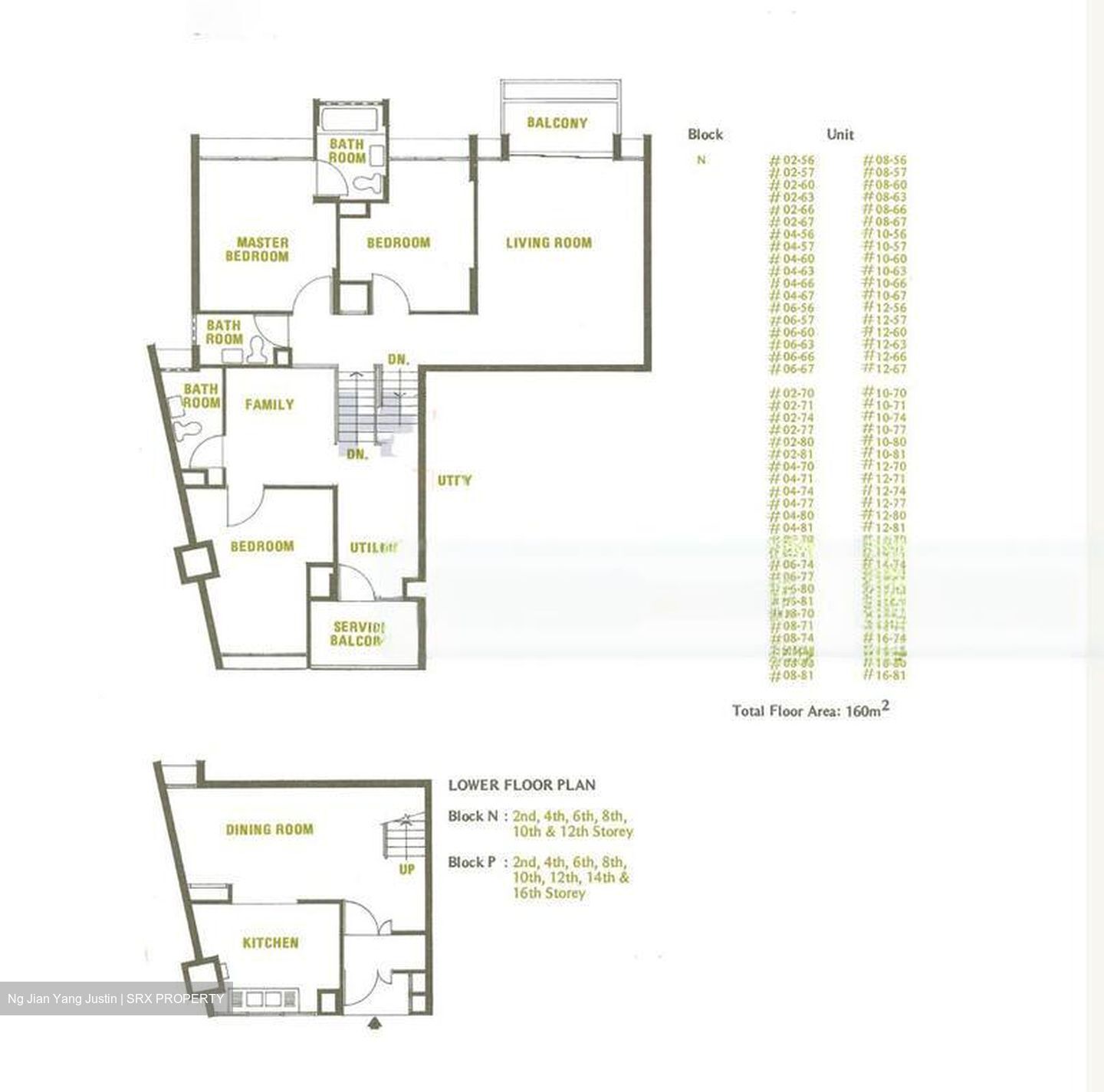 Pine Grove (D21), Condominium #489002591